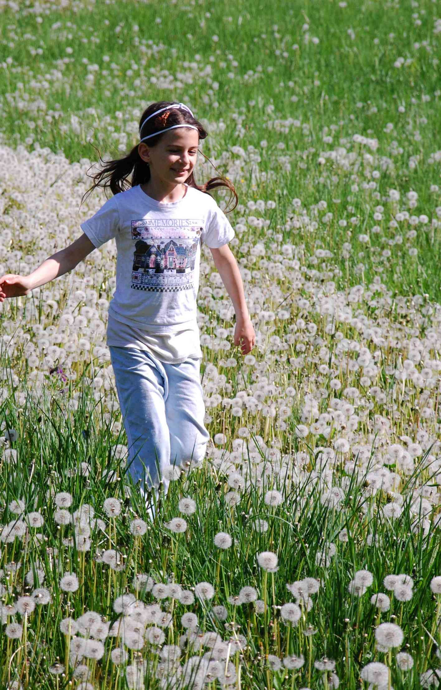 Kid in dandelion fields